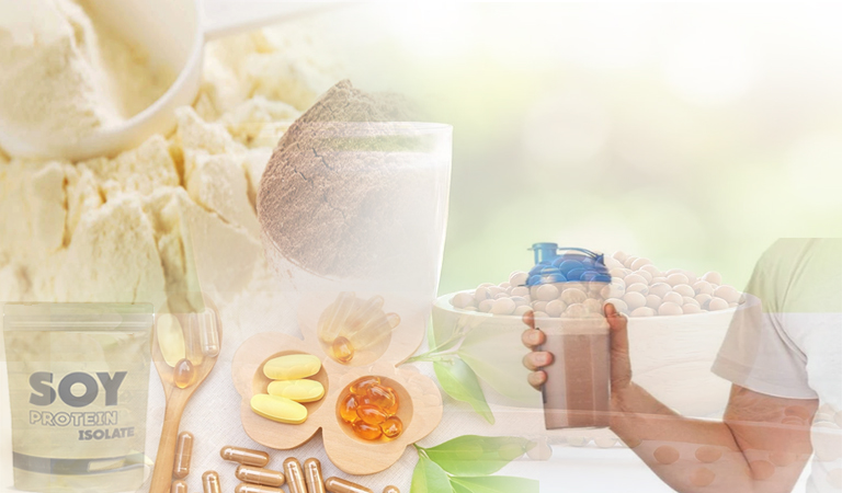 Soya Protein Isolate Soya Protein Isolate